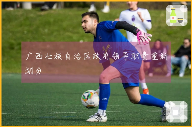 广西壮族自治区政府领导职责重新划分