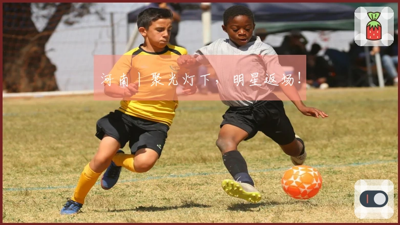 河南丨聚光灯下，明星返场！